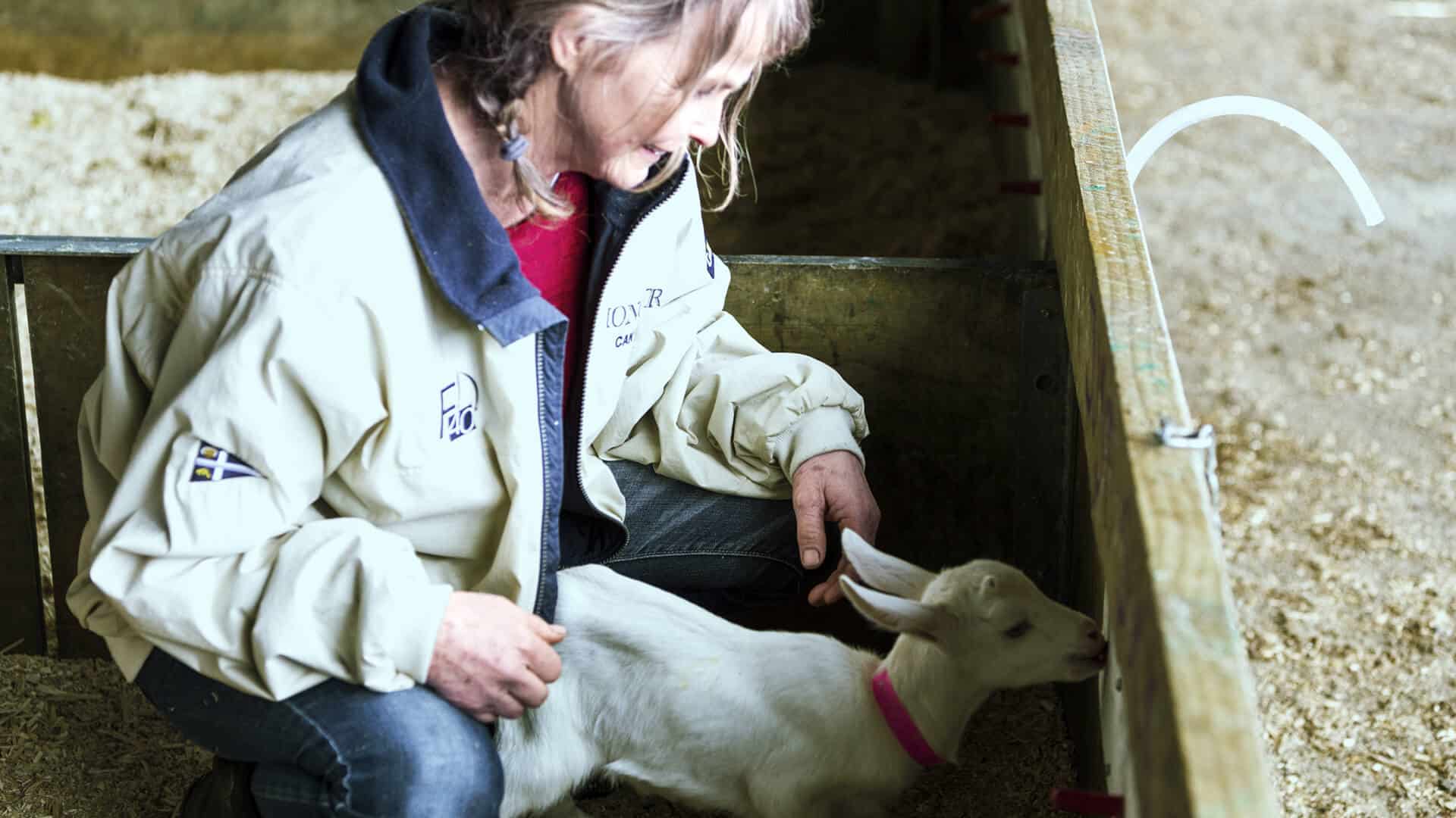 Lactose intolerance Dairy Goat Cooperative